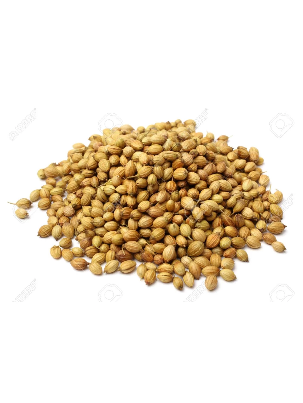 Seminte Coriandru Eco ( 1 Kg )