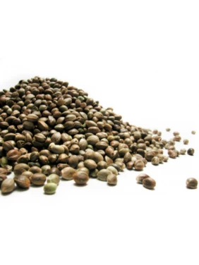 Seminte Canepa ( 1 Kg )