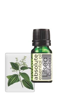 Ulei Esential - Listea Cubeba
